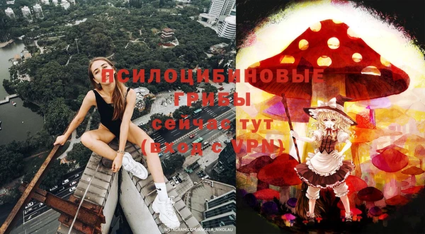 синтетический гашиш Алексеевка