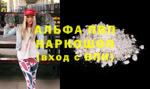 мдпв Осташков