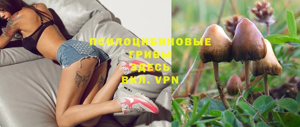 каннабис Абаза