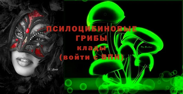 гашик Абинск