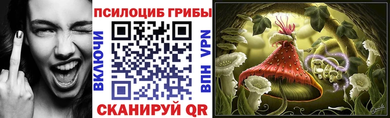 цены наркотик  Хадыженск  Галлюциногенные грибы Psilocybine cubensis 